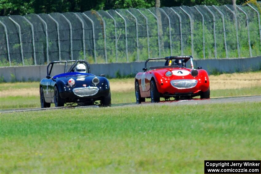 Tom Daly's and Phil Schaefer's Austin-Healey Sprites