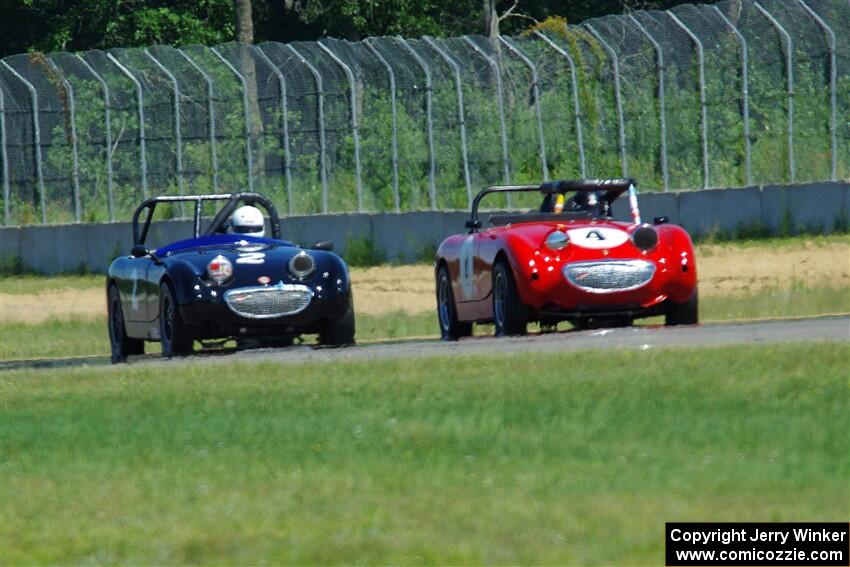 Tom Daly's and Phil Schaefer's Austin-Healey Sprites