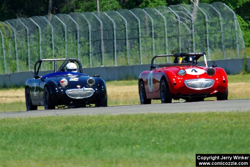 Tom Daly's and Phil Schaefer's Austin-Healey Sprites