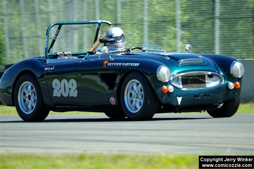 Eileen Wetzel's Austin-Healey 3000