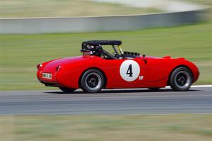 Tom Daly's Austin-Healey Sprite