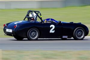 Phil Schaefer's Austin-Healey Sprite