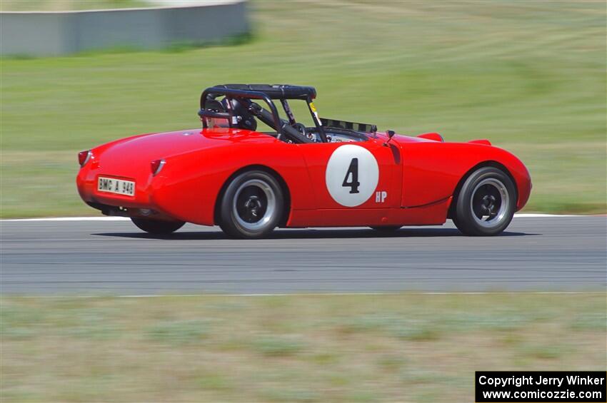 Tom Daly's Austin-Healey Sprite