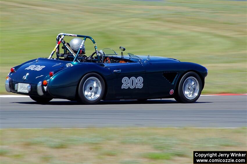 Eileen Wetzel's Austin-Healey 3000