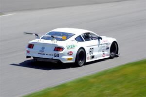 Tim Gray's GT-2 Ford Mustang