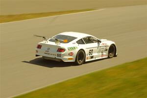 Tim Gray's GT-2 Ford Mustang