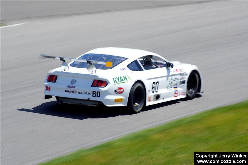 Tim Gray's GT-2 Ford Mustang