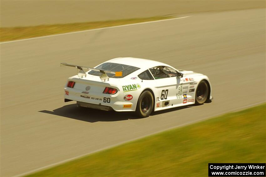 Tim Gray's GT-2 Ford Mustang