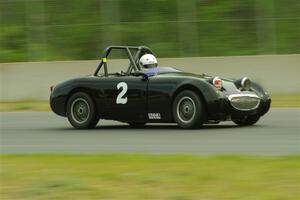 Phil Schaefer's Austin-Healey Sprite