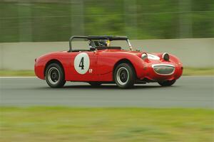 Tom Daly's Austin-Healey Sprite