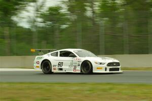 Tim Gray's GT-2 Ford Mustang