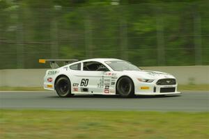 Tim Gray's GT-2 Ford Mustang