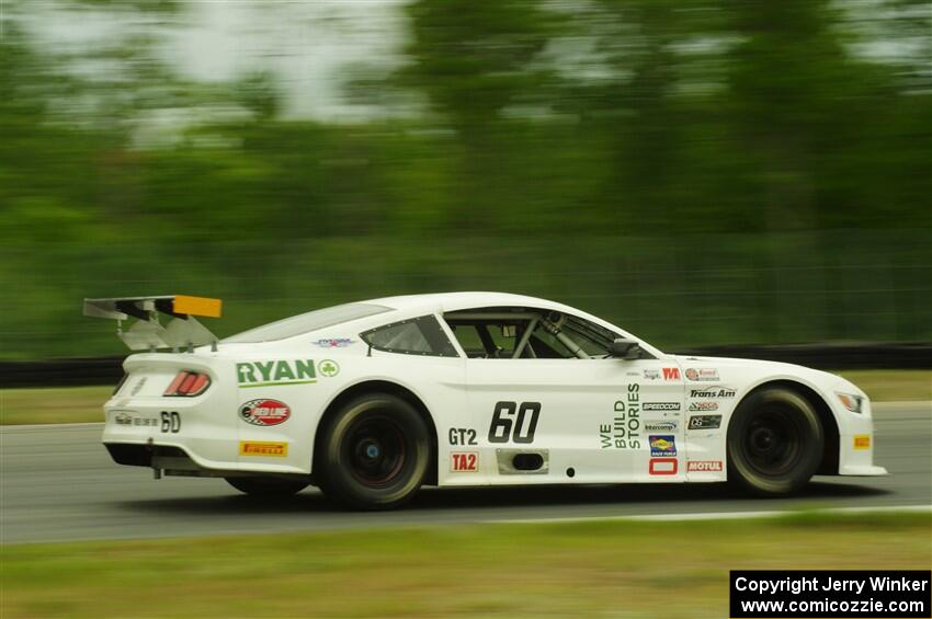 Tim Gray's GT-2 Ford Mustang