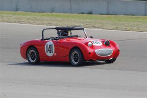 Tom Daly's Austin-Healey Sprite