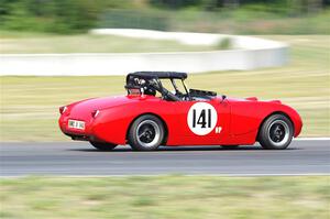 Tom Daly's Austin-Healey Sprite