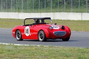 Tom Daly's Austin-Healey Sprite