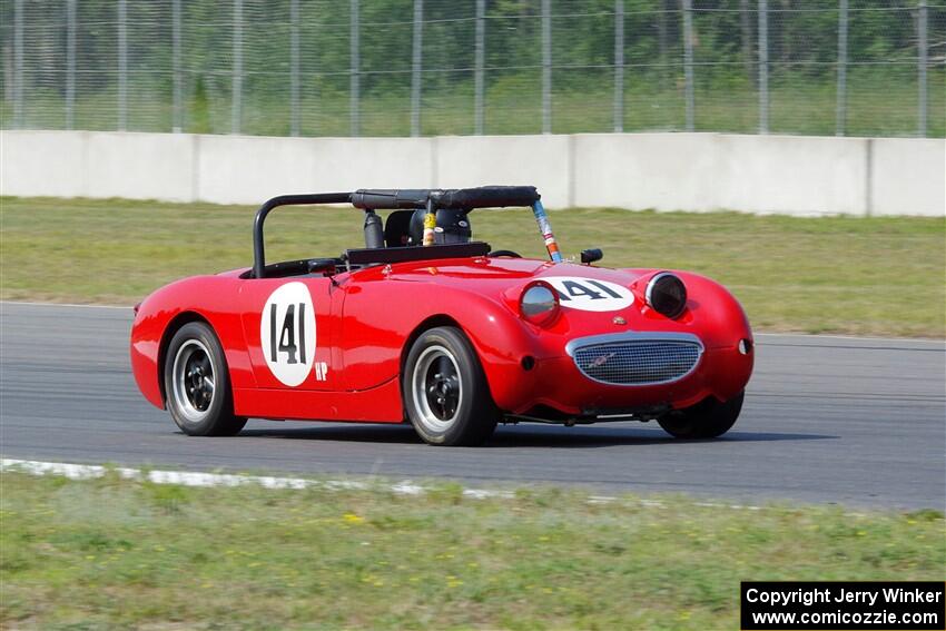 Tom Daly's Austin-Healey Sprite