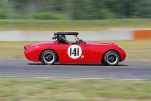 Tom Daly's Austin-Healey Sprite