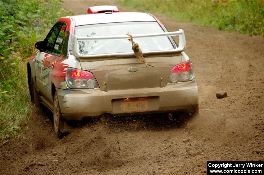 Dan Colburn / Cameron Case Subaru Impreza on SS5, Steamboat II.