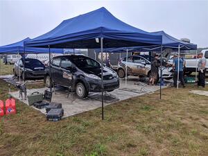 Three Ford Fiestas prior to the start of day two's stages.