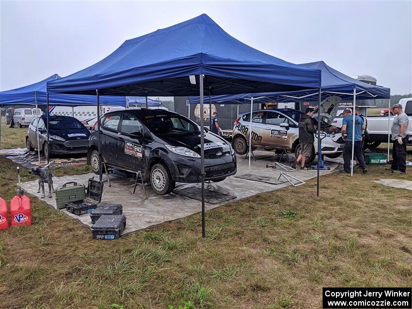 Three Ford Fiestas prior to the start of day two's stages.