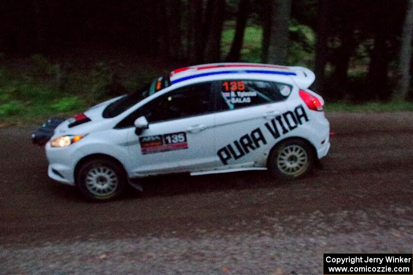 Roberto Yglesias / Chale Salas Ford Fiesta ST on SS3, Bob Lake S-N I.