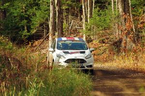 Roberto Yglesias / Chale Salas Ford Fiesta ST on SS13, Herman-Nestoria II.