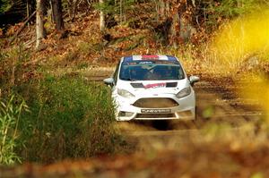 Roberto Yglesias / Chale Salas Ford Fiesta ST on SS13, Herman-Nestoria II.