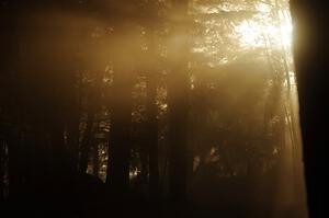 Thick dust making corpuscular rays on SS14, Mount Marquette.