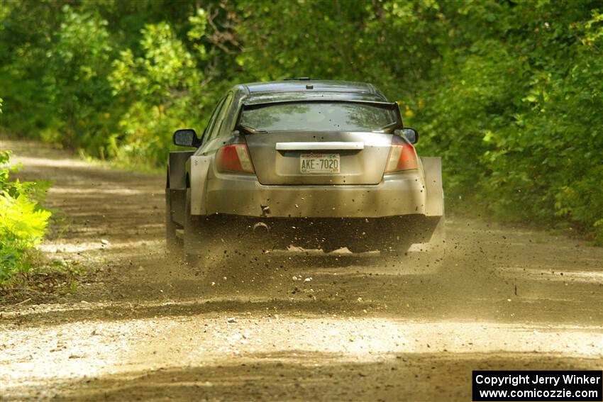 Daryl Bergen / Calvin Bergen Subaru WRX STi on SS11, Anchor Hill NB.