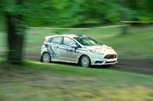 Nick Allen / Stefan Trajkov Ford Fiesta ST on SS16, Soo Pass East II.