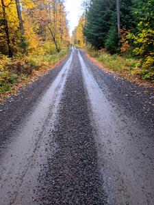 A fast, scenic section of SS3, Bob Lake I.