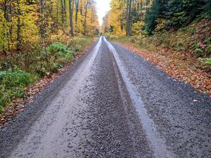 A fast, scenic section of SS3, Bob Lake I.