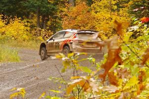 Tom Williams / Ross Whittock Ford Fiesta Rally2 on SS3, Bob Lake I.