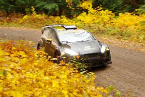 Allen Dobasu / Patrick Walsh Ford Fiesta on SS3, Bob Lake I.