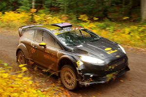 Allen Dobasu / Patrick Walsh Ford Fiesta on SS3, Bob Lake I.