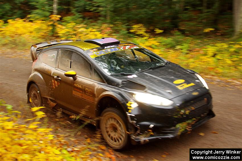 Allen Dobasu / Patrick Walsh Ford Fiesta on SS3, Bob Lake I.