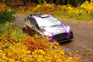 Gary Donoghue / Aileen Kelly Ford Fiesta Proto on SS3, Bob Lake I.