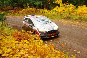 Cameron Steely / Alix Hakala Ford Fiesta ST on SS3, Bob Lake I.