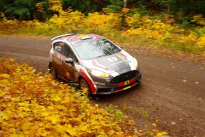 Cameron Steely / Alix Hakala Ford Fiesta ST on SS3, Bob Lake I.