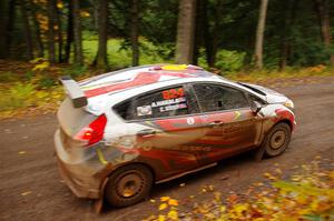 Cameron Steely / Alix Hakala Ford Fiesta ST on SS3, Bob Lake I.