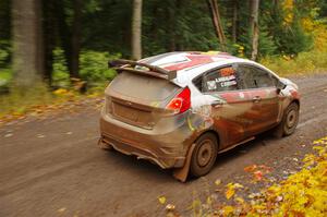 Cameron Steely / Alix Hakala Ford Fiesta ST on SS3, Bob Lake I.