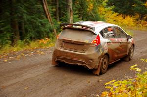 Cameron Steely / Alix Hakala Ford Fiesta ST on SS3, Bob Lake I.