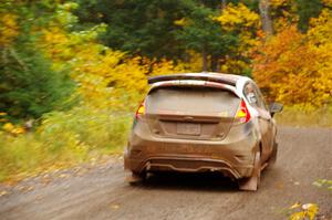 Cameron Steely / Alix Hakala Ford Fiesta ST on SS3, Bob Lake I.