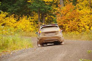 Cameron Steely / Alix Hakala Ford Fiesta ST on SS3, Bob Lake I.