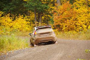 Cameron Steely / Alix Hakala Ford Fiesta ST on SS3, Bob Lake I.