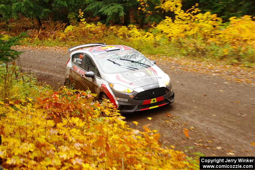 Cameron Steely / Alix Hakala Ford Fiesta ST on SS3, Bob Lake I.