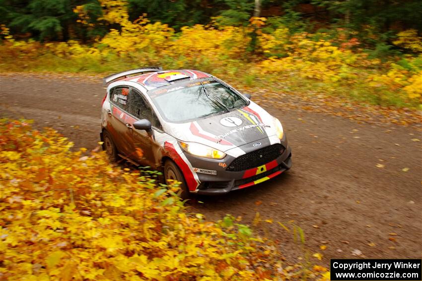 Cameron Steely / Alix Hakala Ford Fiesta ST on SS3, Bob Lake I.