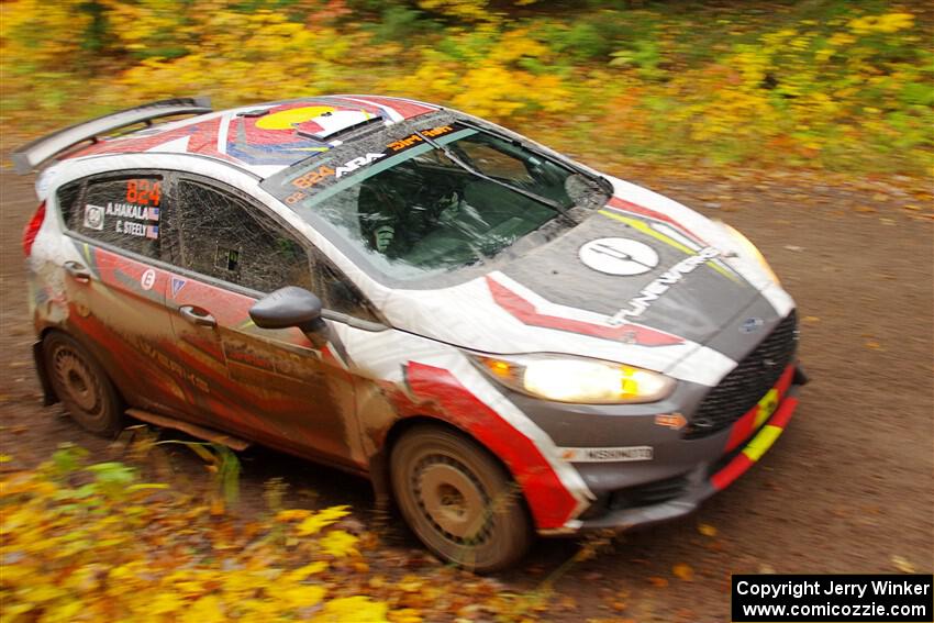 Cameron Steely / Alix Hakala Ford Fiesta ST on SS3, Bob Lake I.