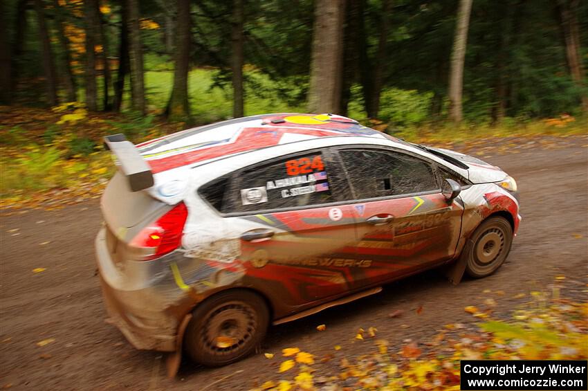 Cameron Steely / Alix Hakala Ford Fiesta ST on SS3, Bob Lake I.